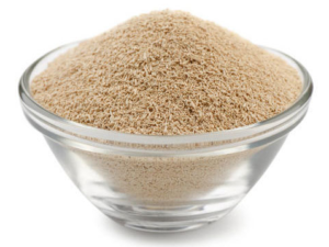 Yeast Culture Live Feed Grade