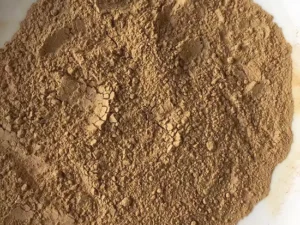 Bacillus Licheniformis Probiotic Powder