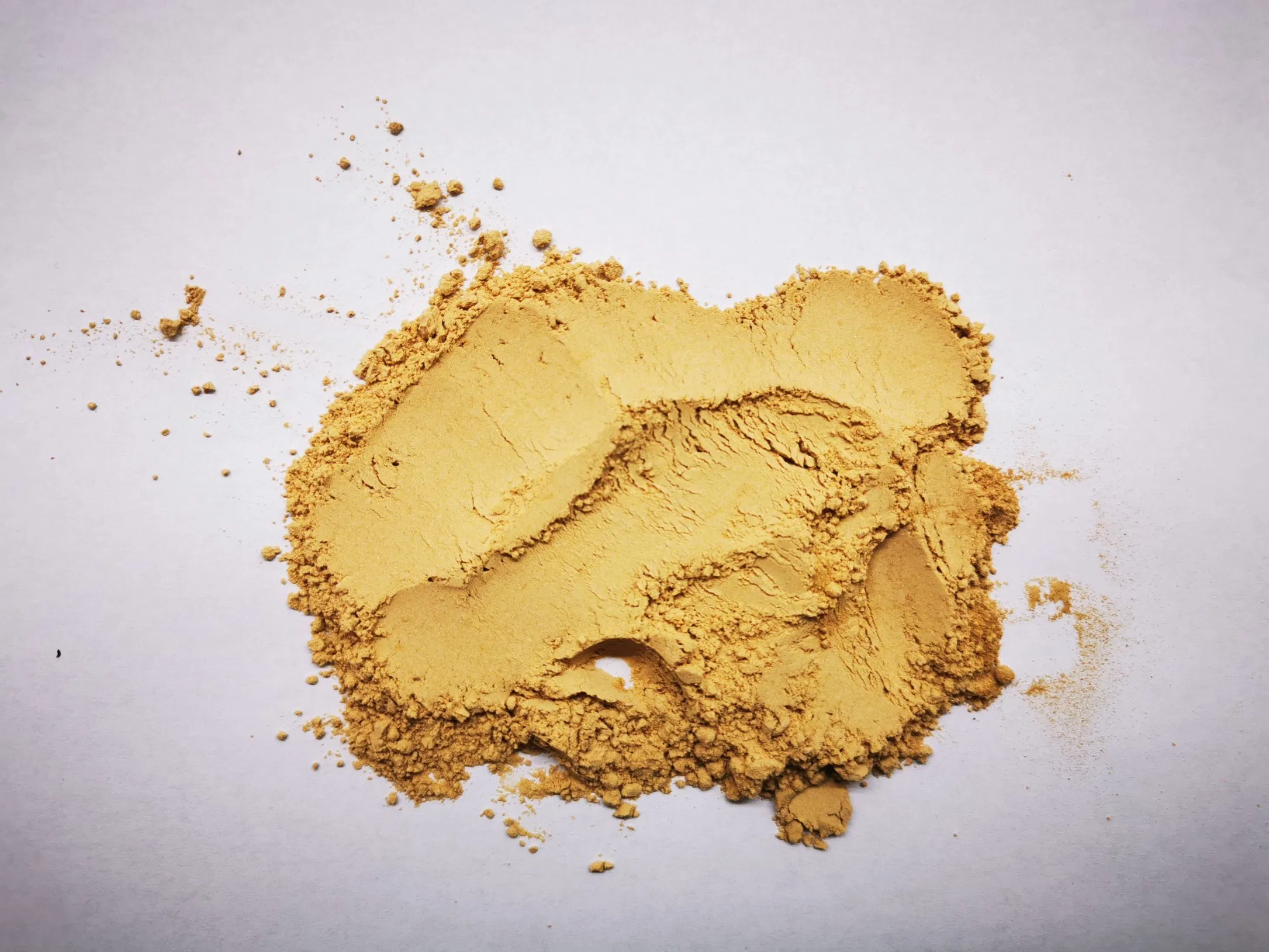 Bacillus Subtilis Probiotic Powder - Image 3