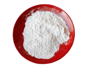 Bacillus Subtilis Probiotic Powder (BS-100B CFU)