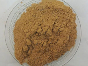 Ginkgo Biloba Extract Powder (GBE-24/6)
