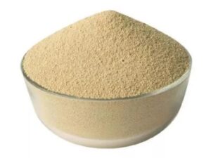 Xylanase Enzyme Powder