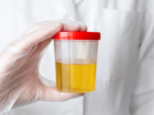 Organic Acid Gut Blend