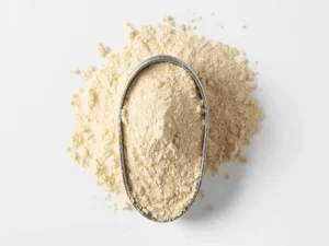 Bacillus Coagulans Powder (BC-50B CFU)
