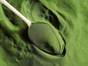 Algae Meal DHA Rich