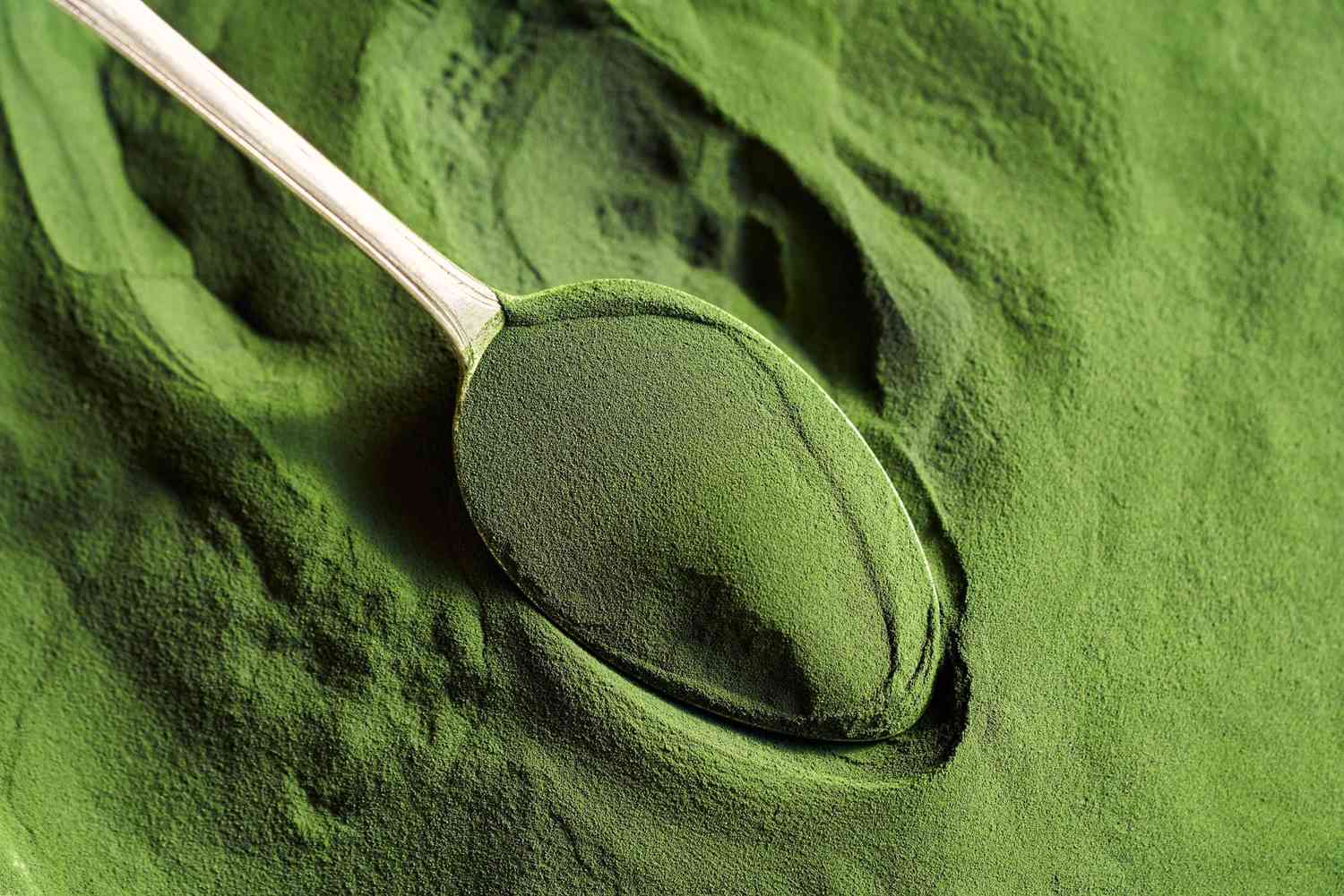 Algae Meal DHA Rich
