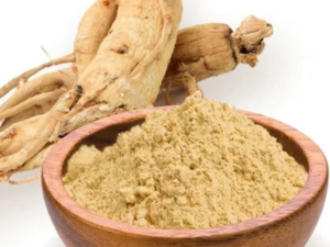 Ginseng Panax Extract Powder (GINS-80%)