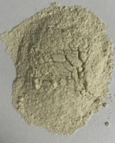 Multi-Strain Probiotic Blend - Image 3