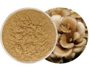 Mushroom Functional Extract