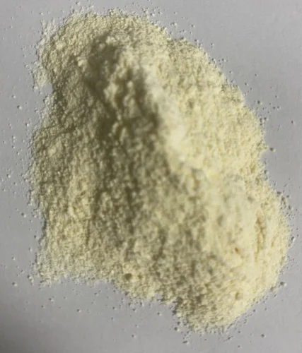 Multi-Strain Probiotic Blend - Image 2
