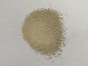 Multi-Strain Probiotic Blend