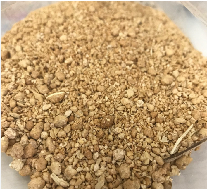 Postbiotic Fermentation Extract