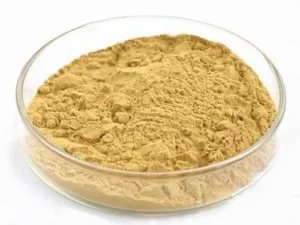 Yeast Extract Powder