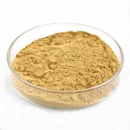 Yeast Extract Powder - Image 3