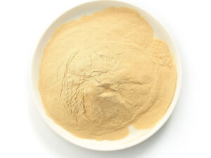 Yeast Extract Powder