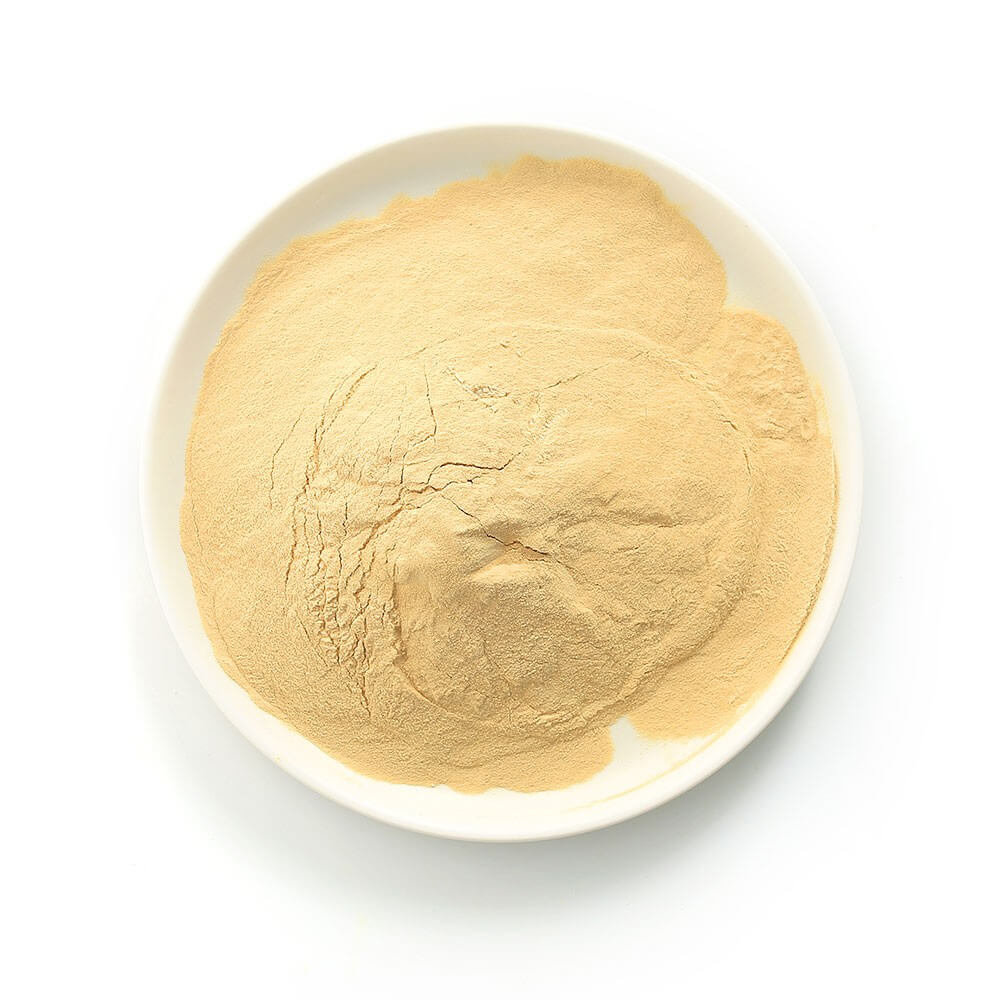 Yeast Extract Powder