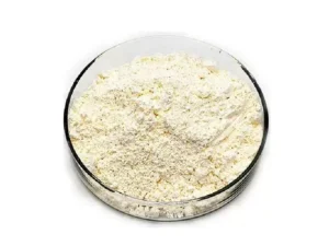 Chitosan Powder Pharmaceutical Grade (CHT-95)