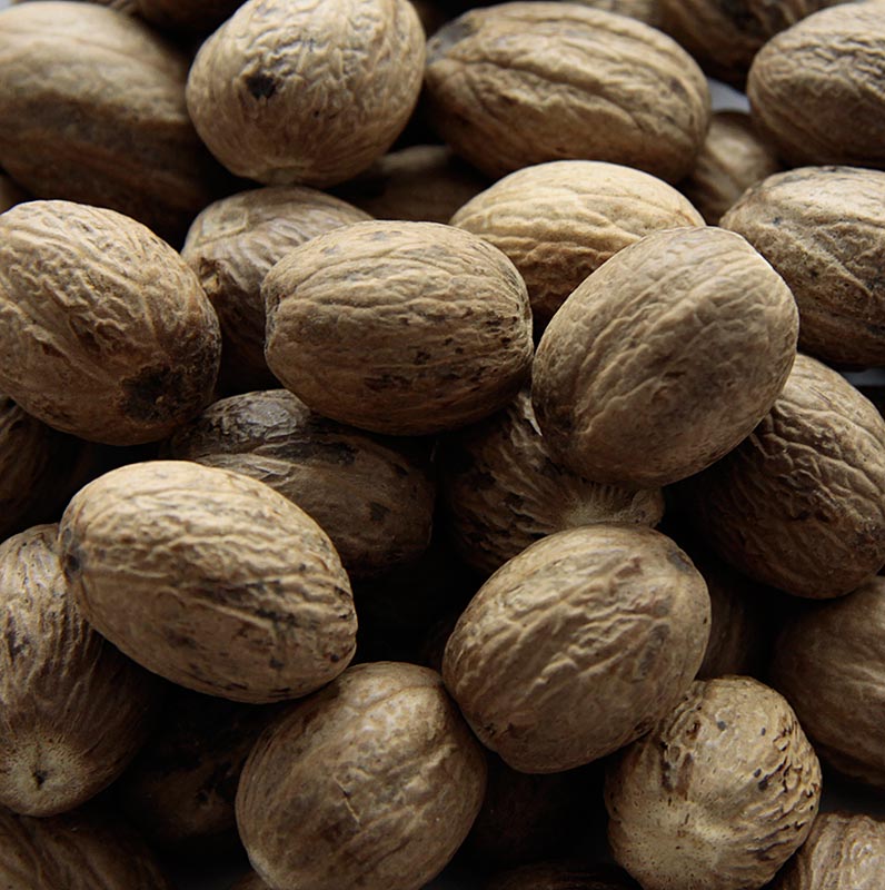 Nutmeg 110/120 - Image 3