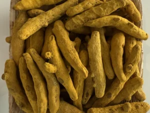 Turmeric Fingers Rajapuri