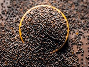 Brown Mustard Seed