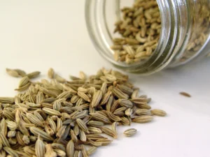 Fennel Seed FAQ