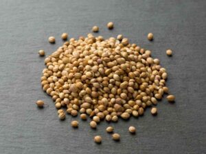 Coriander Seed Scooter Grade
