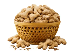 Indian Dry Ginger