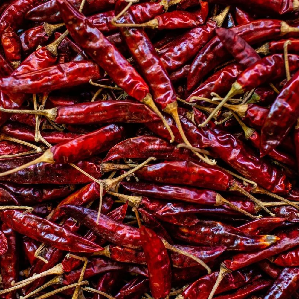 Guntur Sannam Chilli - Image 3
