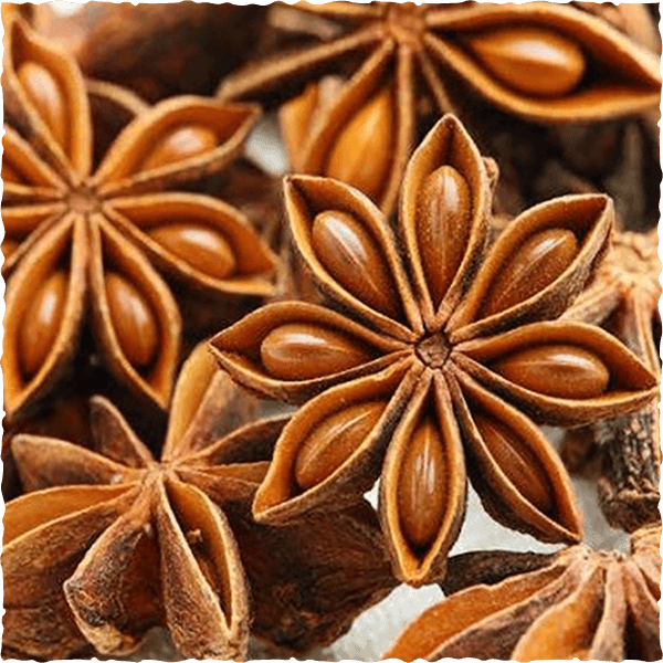 Chinese Star Anise Premium - Image 3