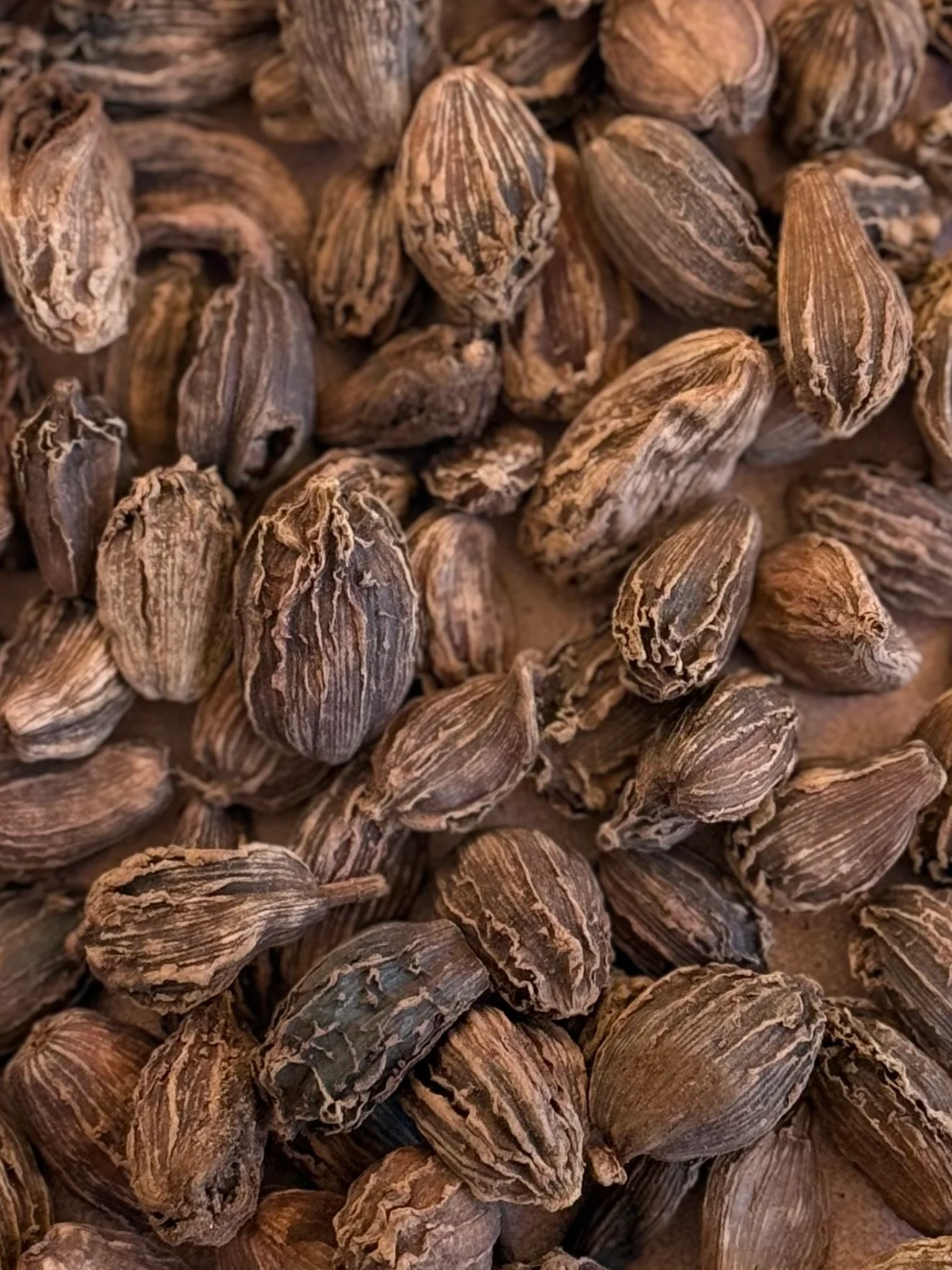 Black Cardamom Nepal - Image 2