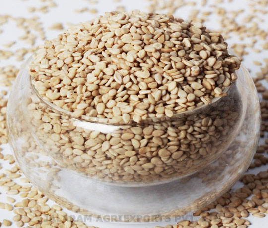 Sesame Seed Natural - Image 2