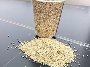 Sesame Seed Natural