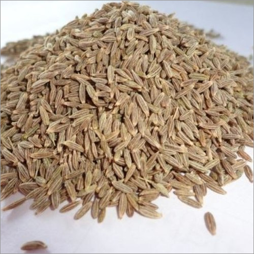 Sortex Cumin Seed - Image 4