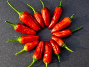 Bird's Eye Chilli