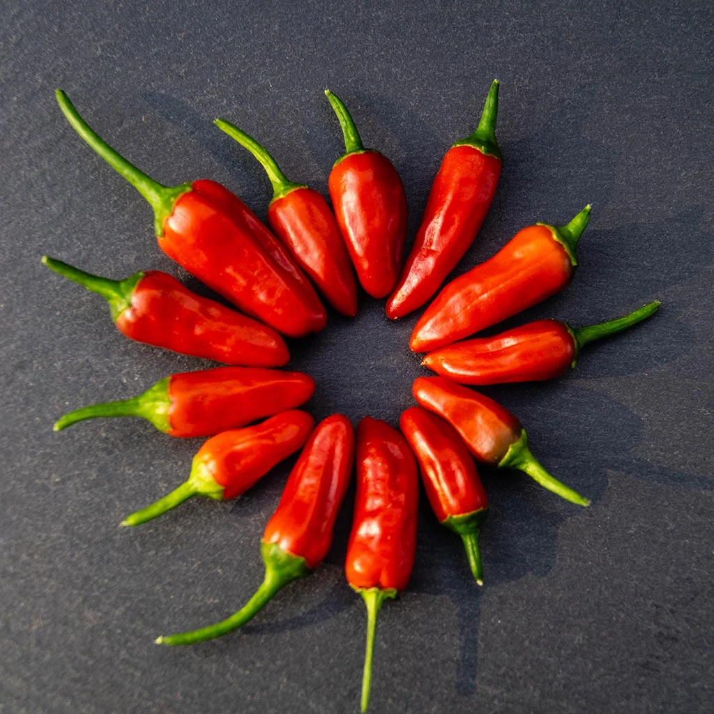 Bird's Eye Chilli