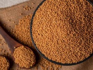 Yellow Mustard Seed