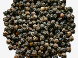 Black Pepper 570 GL Vietnam