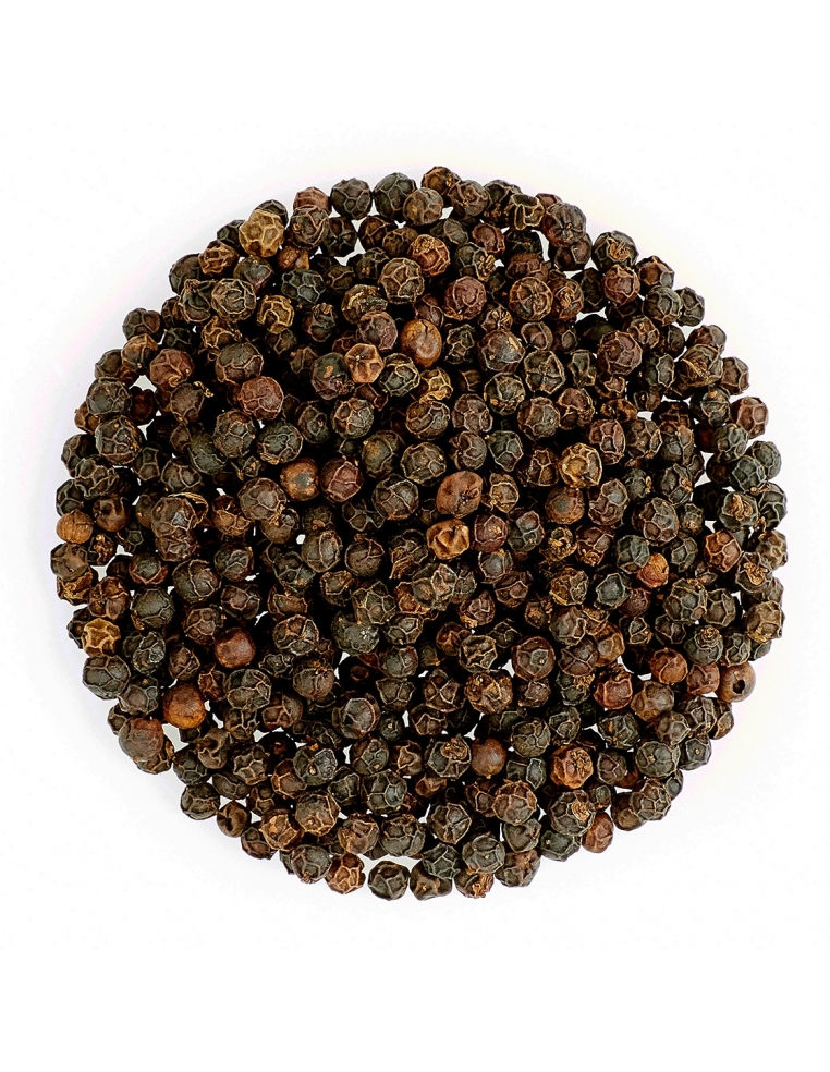 Black Pepper ASTA Brazil - Image 3