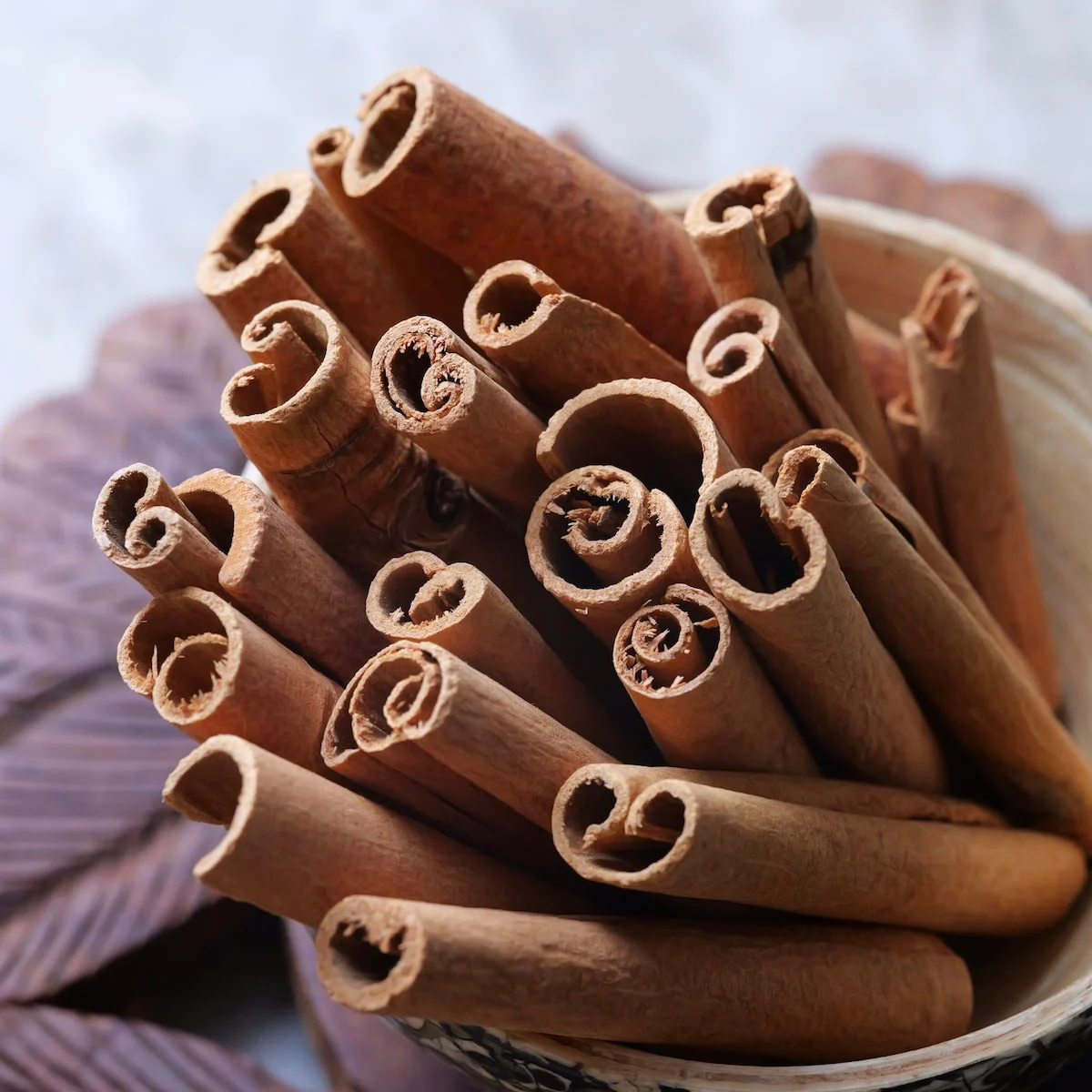 Ceylon Cinnamon Alba - Image 2