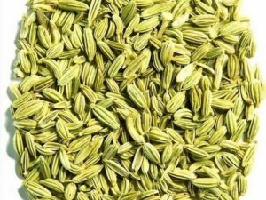 Fennel Seed Premium Green
