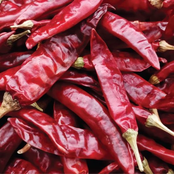 Guntur Sannam Chilli - Image 2