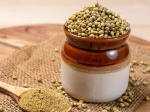 Coriander Seed Eagle Grade