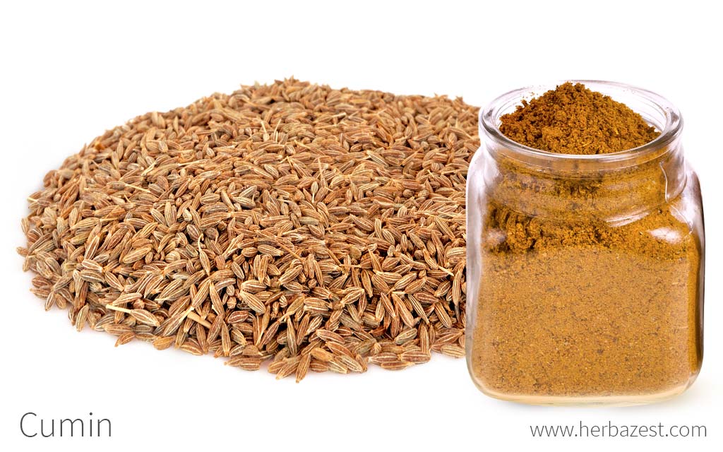 Ground Cumin - Image 3