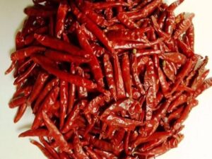 Guntur Sannam Chilli